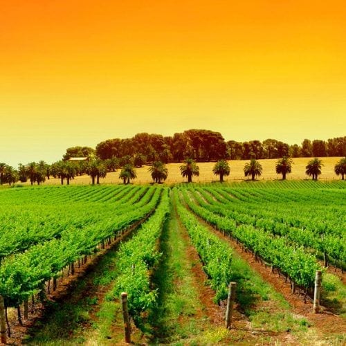 Hunter Valley