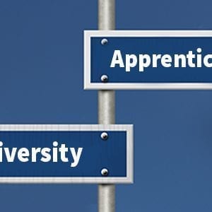 Vocational Education vs Higher Education